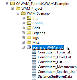 Open the Scenario_WAM Database